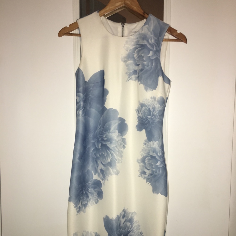 Calvin Klein Dress
